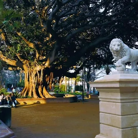 The Terrace Canalejas Аликанте