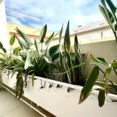 The Terrace Canalejas * 阿利坎特